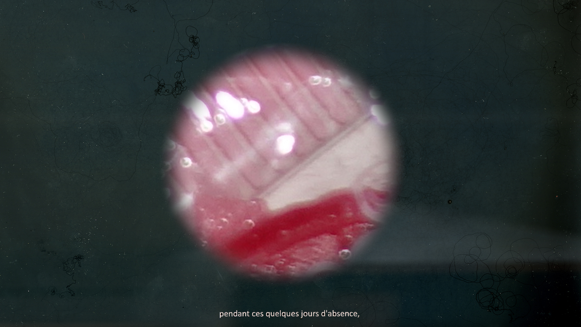 Anna Sougy _ Key hole video