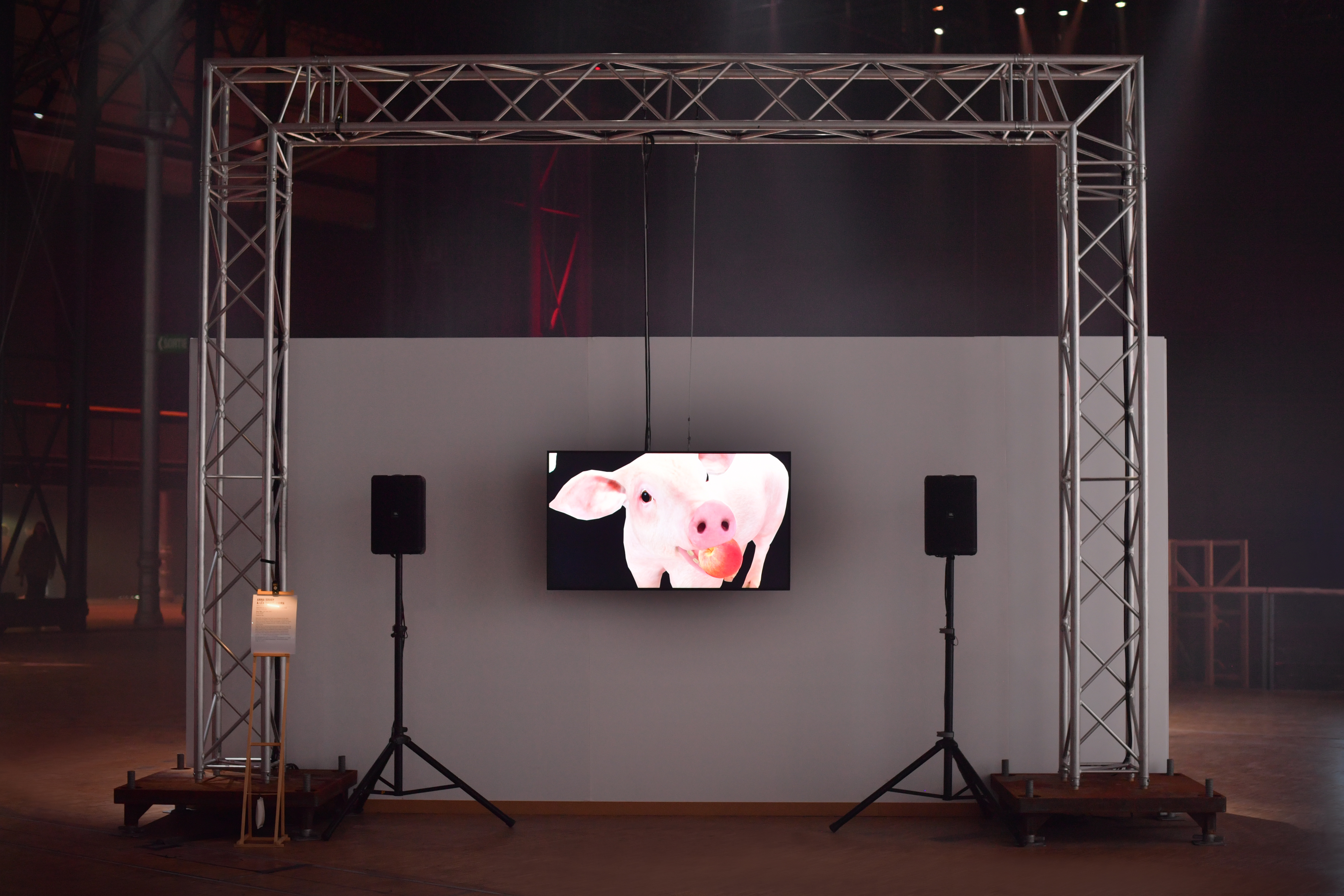 Anna Sougy _ Sexy Pigs